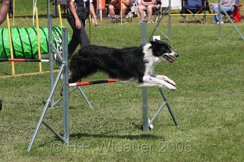 jubil.lusten. 288.jpg